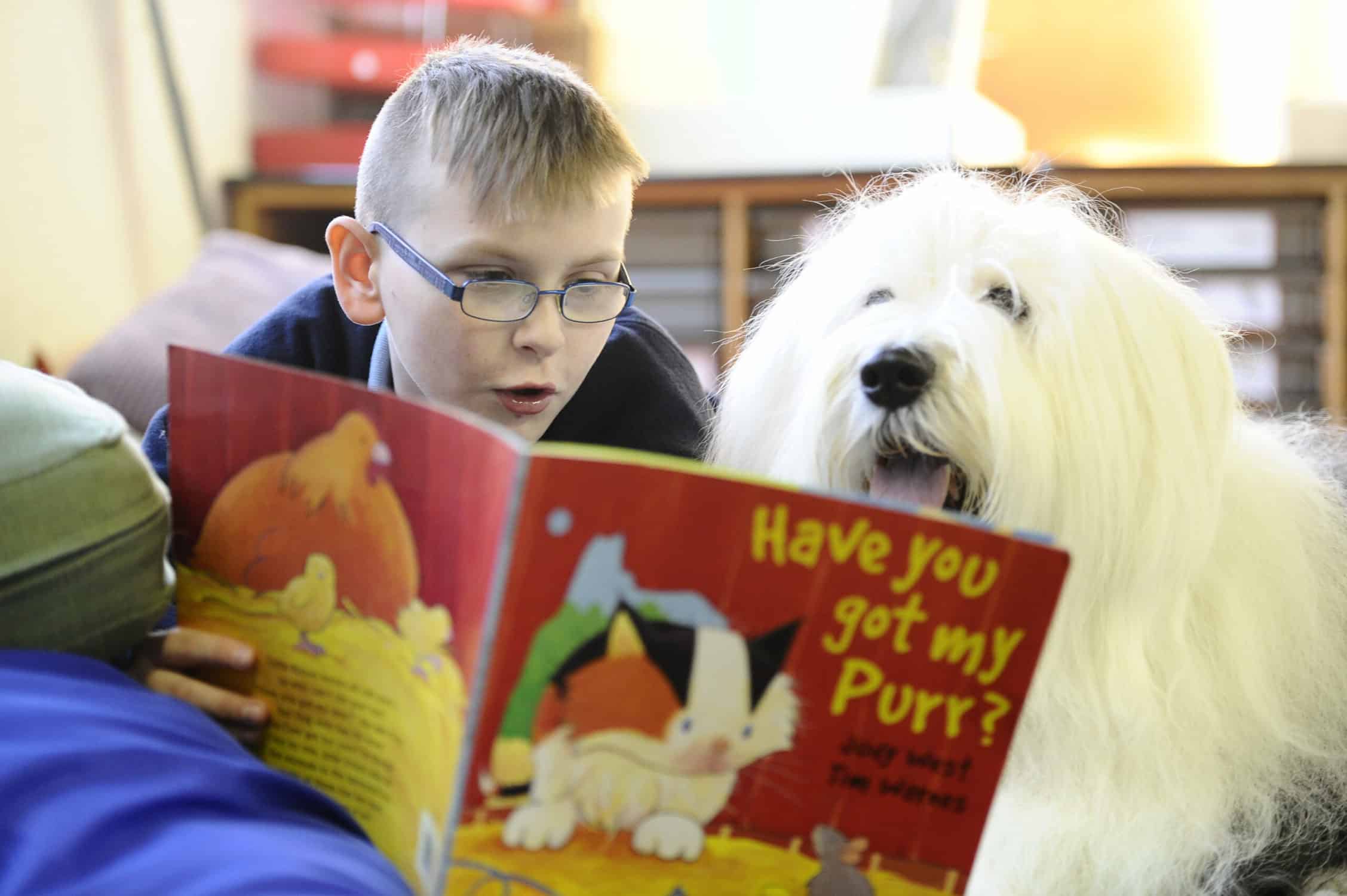 Wenn Kinder einem Hund vorlesen, werden sie bessere Leser und steigern ihr Selbstvertrauen. Der Kennel Club erklärt, warum er ausgebildete Hunde in Schulen bringt, um die Lesefähigkeit von Kindern zu verbessern.